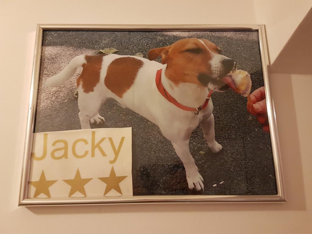 Apartmán Jacky Záhřeb Exteriér fotografie